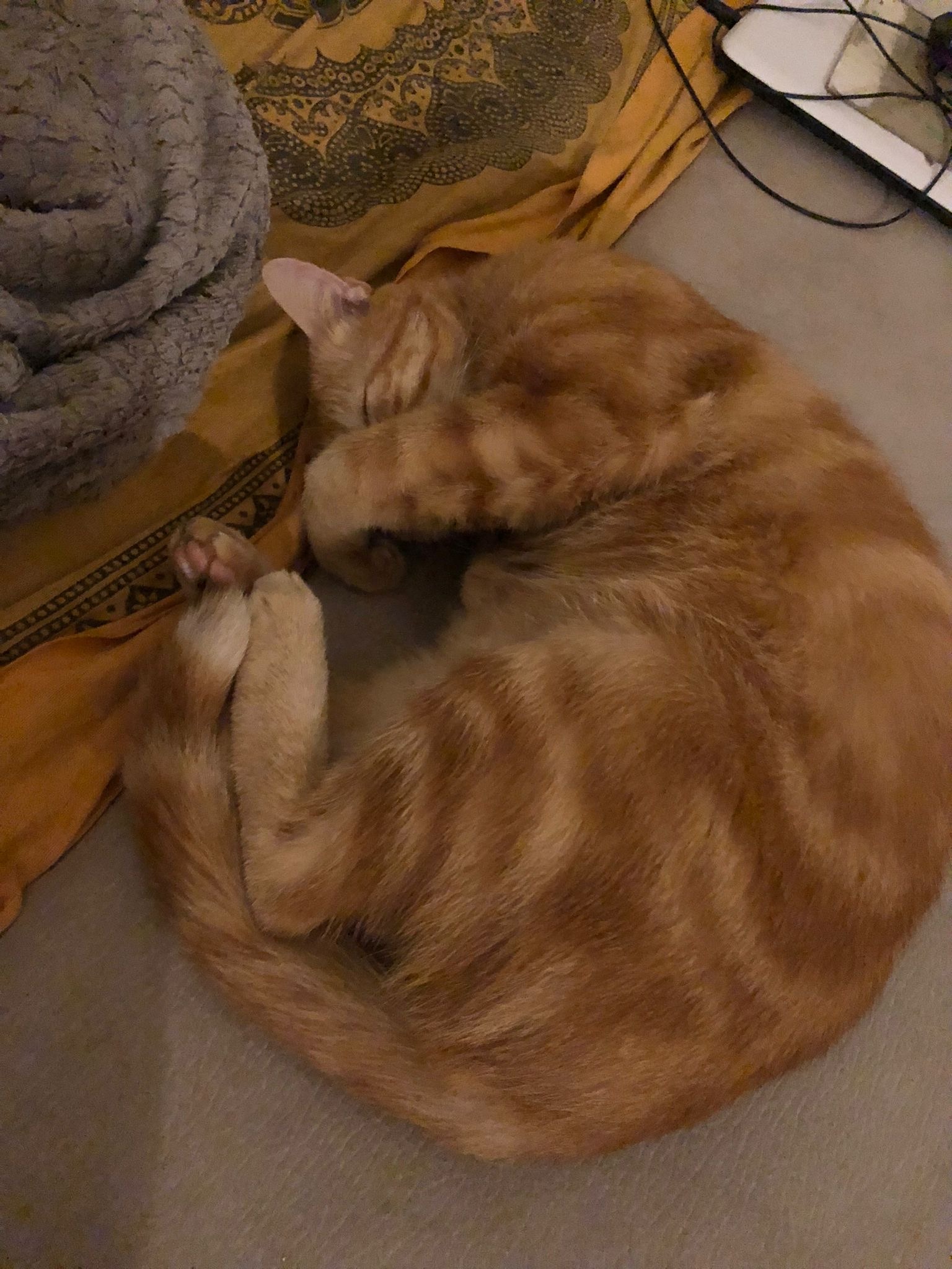 Perfil de Abdellatif