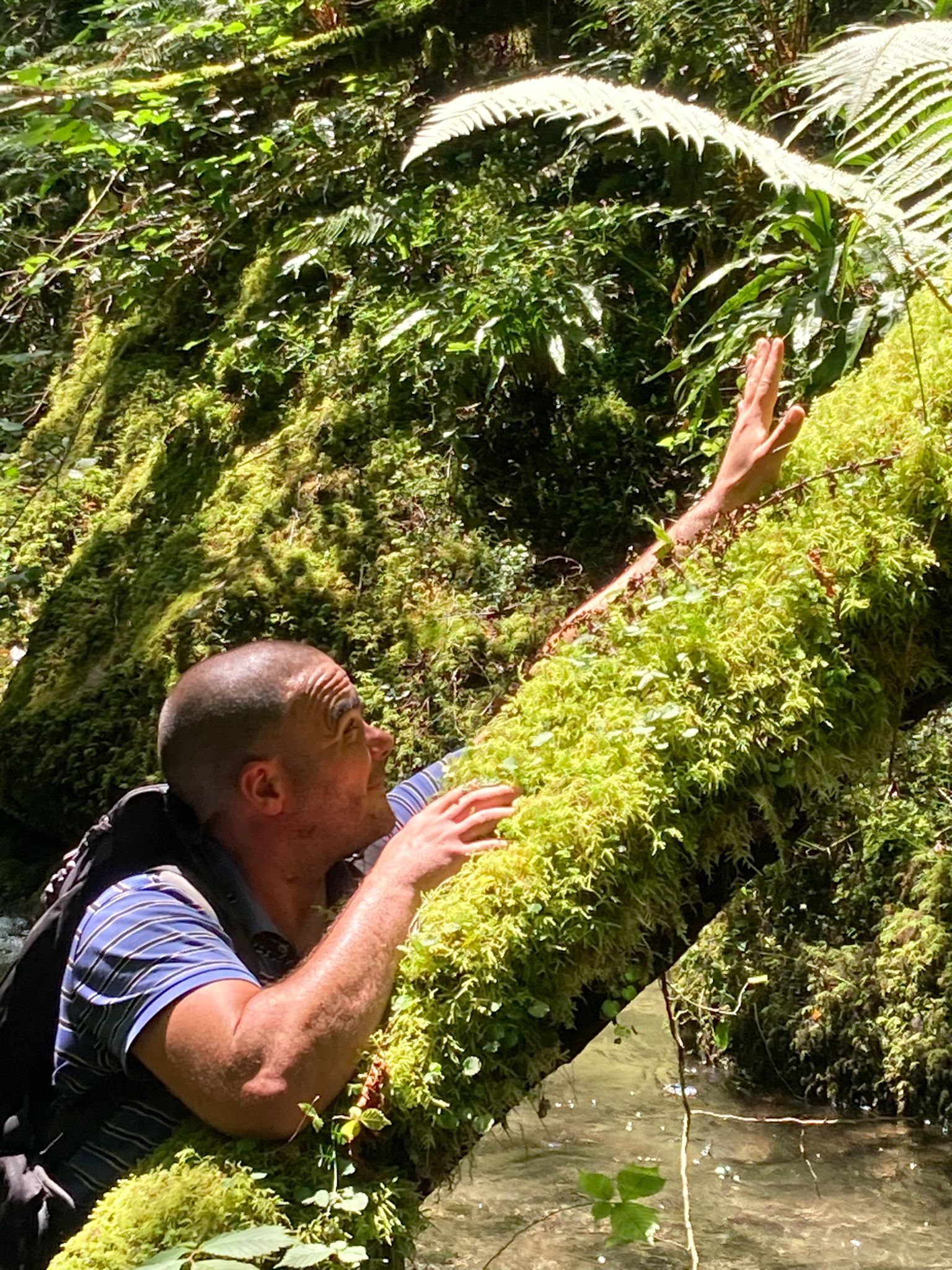 Perfil de Abdussamed